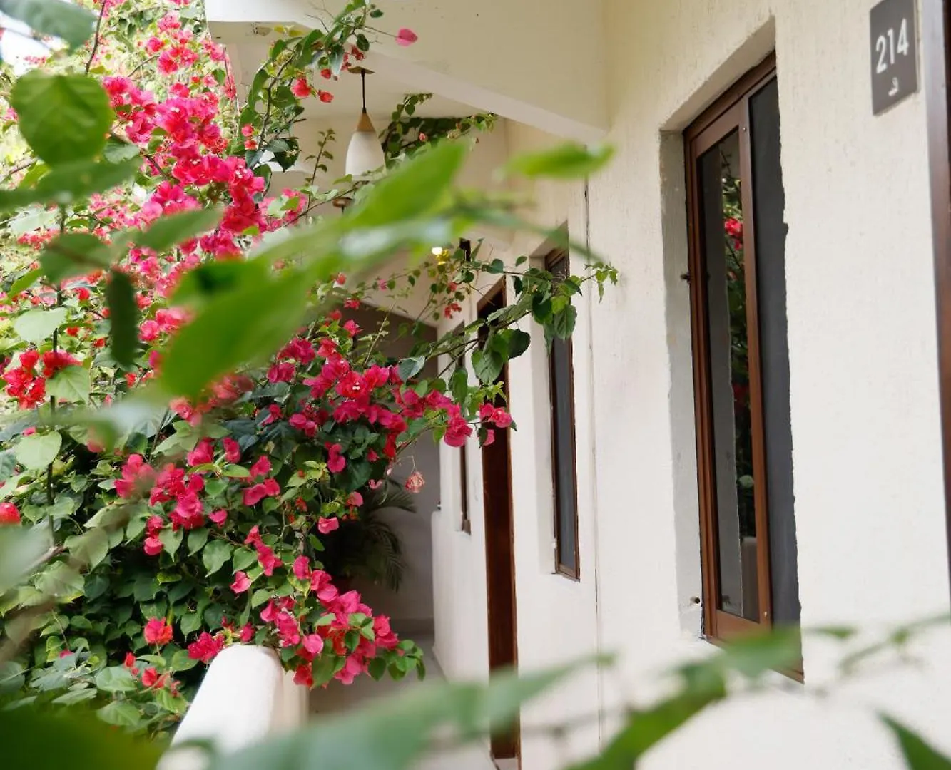 Hotel Hulku Playa del Carmen